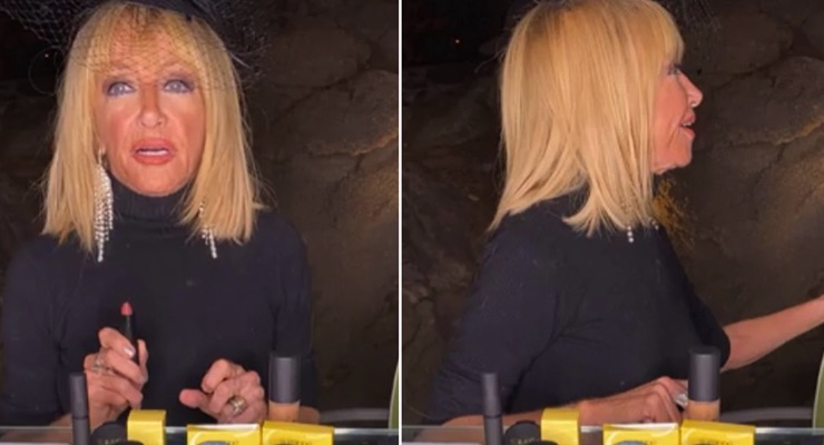 Suzanne Somers, Cosmetics & The Tresspasser