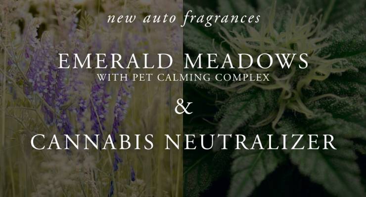Scentair Adds Two Odor-Neutralizing Fragrances to its Auto Lineup