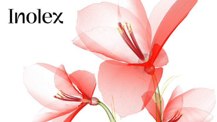 Elevate UV Filter Bemotrizinol with LexFeel Enhance MB from Inolex